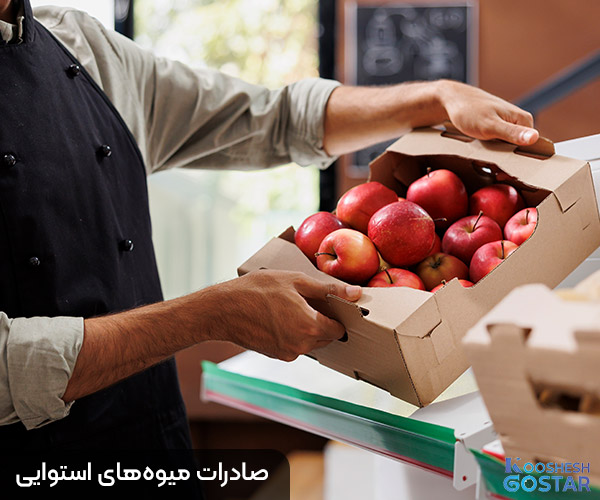 صادرات میوه‌های استوایی