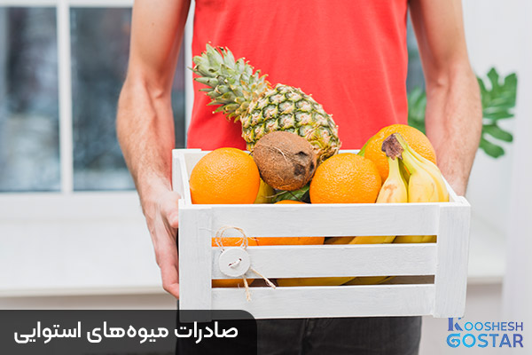 صادرات میوه‌های استوایی
