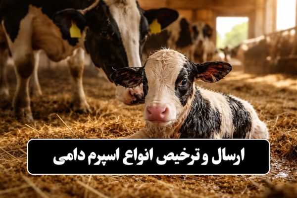 69124297 ترخیص و ارسال انواع اسپرم دامی