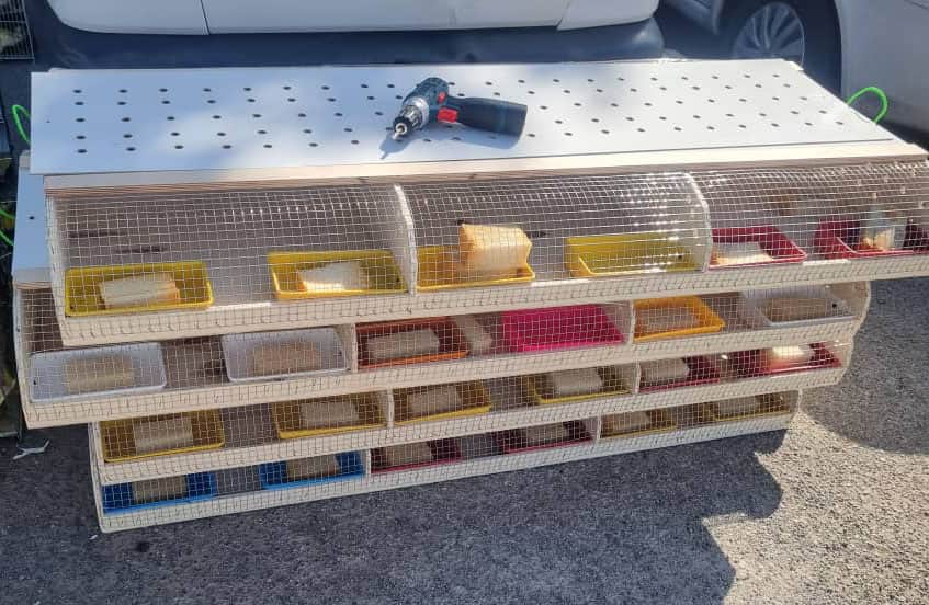 ساخت قفس‌های استاندارد برای ارسال پرندگان