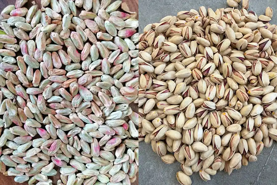 صادرات پسته و مغز پسته با بازرگانی جم